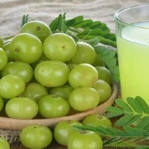 রোজ সকালেই খালি পেটে এক টুকরো আমলকি শরীরে করবে জাদু ,জানাচ্ছে বিশেষজ্ঞগণ