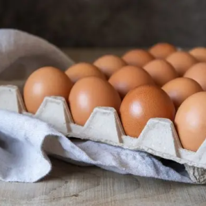 ডিমের দাম ₹৮, কারণ ভুট্টা চুরি! ডিমের রেকর্ড উৎপাদনেও কেন হাত পুড়ছে? নবান্নের উচ্চপর্যায়ের বৈঠকে চাঞ্চল্য