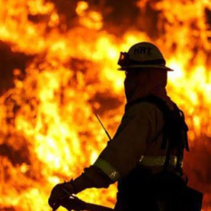 কালো ধোঁয়ায় ঢেকেছে আনন্দপুর! গুলশন কলোনিতে রঙের গুদামে বিধ্বংসী আগুন, আতঙ্ক ছড়াল ঘন জনবসতিপূর্ণ এলাকায়