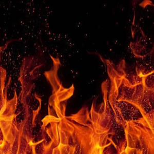 সকালে বাজার খোলার আগেই ‘আগুন-তাণ্ডব’! কলকাতার গুলশন কলোনিতে একাধিক দোকান-গুদাম ছাই, আতঙ্কিত ঘনবসতির বাসিন্দারা