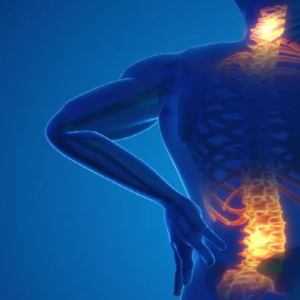 আপনার মেরুদন্ড যে ১০টি কারণে ক্ষতিগ্রস্ত হয়ে পড়ছে দিন দিন, জেনেনিন ও সতর্ক থাকুন