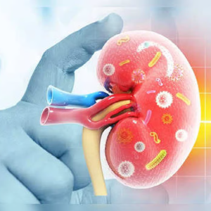 শরীরে এই লক্ষণগুলো দেখা দিলেই বুঝবেন আপনি কিডনির ক্যান্সারে আক্রান্ত, জেনেনিন