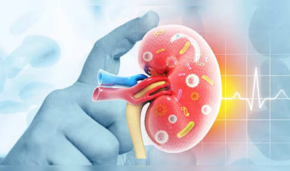 শরীরে এই লক্ষণগুলো দেখা দিলেই বুঝবেন আপনি কিডনির ক্যান্সারে আক্রান্ত, জেনেনিন