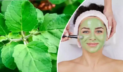 ত্বকে থাকবে না কোনো দাগছোপ, তুলসীপাতা তুলে মুখে মাখুন এভাবে! মেয়েরা জেনেনিন অবশ্যই
