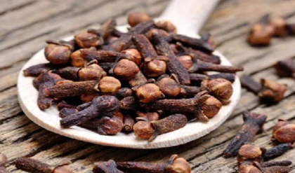 ২টি লবঙ্গে পাবেন ১৩টি উপকার, দেরি না করে খাওয়া শুরু করুন আপনিও!