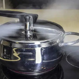 যেসব খাবার প্রেশার কুকারে রান্না করা একেবারেই ঠিক নয়, বিস্তারিত জেনেনিন