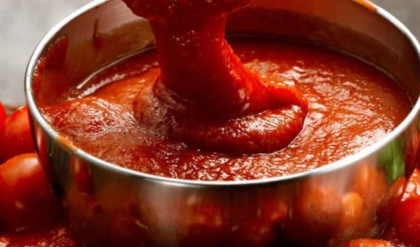 অতিরিক্ত টমেটো সস খাওয়া থেকে সাবধান! শরীরে দেখা দিতে পারে নানা জটিল সমস্যা