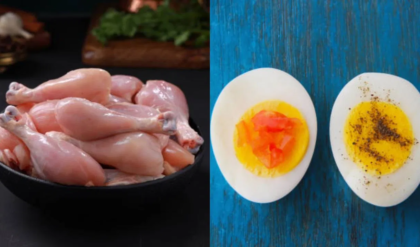 চিকেন না ডিম, শরীরকে ফিট রাখতে কোনটি বেশি করে খেতে হবে? জানুন