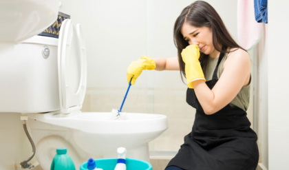 বাথরুম দুর্গন্ধমুক্ত রাখার উপায় খুঁজছেন? তাহলে এই প্রতিবেদনটি অবশ্যই পড়ুন