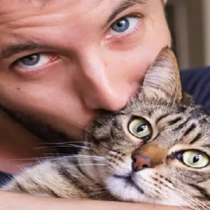 ঘরে বিড়াল থাকলে যেসব উপকার পাবেন জানলে আপনিও পুষবেন, জানুন