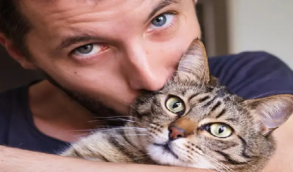 ঘরে বিড়াল থাকলে যেসব উপকার পাবেন জানলে আপনিও পুষবেন, জানুন