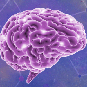 ভুলো মন? চিন্তা নেই আজকের কিছু কার্যকরট্রিক মস্তিষ্ককে বানাবে তীক্ষ্ণ