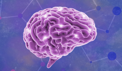 ভুলো মন? চিন্তা নেই আজকের কিছু কার্যকরট্রিক মস্তিষ্ককে বানাবে তীক্ষ্ণ