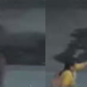 হায়দরাবাদের স্কুলে পৈশাচিক ঘটনা! চার বছরের শিশুকন্যাকে নির্মমভাবে মারধর স্কুল পরিচারিকার, ভাইরাল ছবি ঘিরে আতঙ্ক