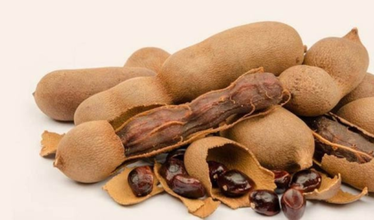 তেঁতুল খেলে কি হয়? এর উপকারিতা জানলে হয়রান হবেন