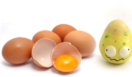 ডিম্ ফাটানোর আগেই জানুন পচা না ভালো, শিখেনিন পদ্ধতি