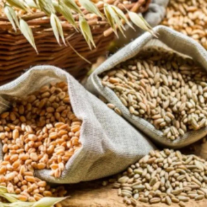 রুটি বা আটা-ময়দার খাবার থেকে ঠিক কী কী সমস্যা তৈরি হতে পারে দেখুন