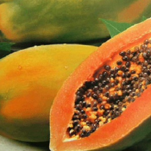 পুষ্টিকর পেঁপে কাদের খাওয়া উচিত নয়? গর্ভবতী মহিলা থেকে হৃদরোগী—৬টি ক্ষেত্রে কেন সতর্ক থাকবেন