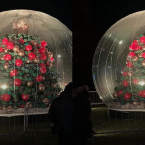 ১ লাখ বেলুন দিয়ে তৈরি ২৫ ফুটের ক্রিসমাস ট্রি! ব্রিটেনে ইঞ্জিনিয়ারদের পরিশ্রমে নতুন চমক