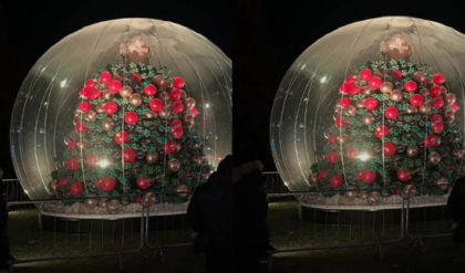 ১ লাখ বেলুন দিয়ে তৈরি ২৫ ফুটের ক্রিসমাস ট্রি! ব্রিটেনে ইঞ্জিনিয়ারদের পরিশ্রমে নতুন চমক