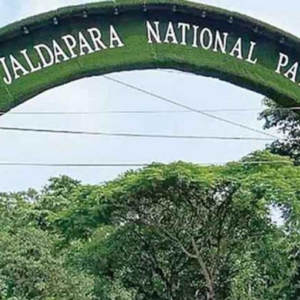 শীত বাড়তেই চোরাশিকার দমনে আরও কড়া জলদাপাড়া! ঘন কুয়াশার আড়াল ভাঙতে আসছে অত্যাধুনিক ড্রোন