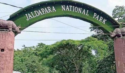 শীত বাড়তেই চোরাশিকার দমনে আরও কড়া জলদাপাড়া! ঘন কুয়াশার আড়াল ভাঙতে আসছে অত্যাধুনিক ড্রোন