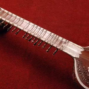 আন্তর্জাতিক মঞ্চে সম্মানিত শিল্পীর সেতারের ভয়াবহ পরিণতি! এয়ার ইন্ডিয়ার অবহেলায় দু’টুকরো ঐতিহ্যবাহী বাদ্যযন্ত্র