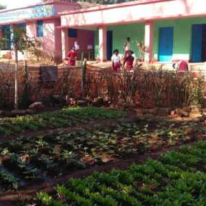 পুষ্টি সচেতনতার পাঠ এবার হাতে-কলমে! পূর্ব বর্ধমানের স্কুলে মিড-ডে-মিলের জন্য কিচেন গার্ডেন বা ‘পুষ্টি বাগান’