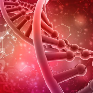 শৈশবের গ্রোথ হরমোনই ডেকে আনতে পারে বিপদ, অবহেলা না করে পড়ুন