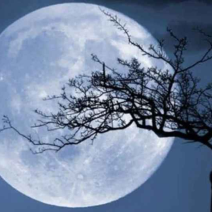 ডিসেম্বর মাসের রাত হবে রূপকথা! আজ আকাশে বছরের শেষ ও উজ্জ্বলতম ‘সুপার কোল্ড মুন’, কখন দেখবেন?