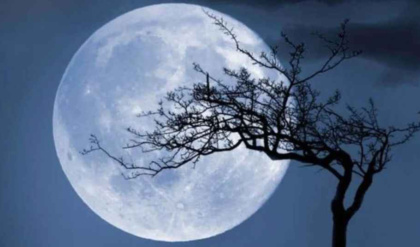 ডিসেম্বর মাসের রাত হবে রূপকথা! আজ আকাশে বছরের শেষ ও উজ্জ্বলতম ‘সুপার কোল্ড মুন’, কখন দেখবেন?