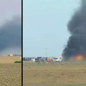 ভয়ঙ্কর বিমান দুর্ঘটনা! আমেরিকার ক্যালিফোর্নিয়ায় ভেঙে পড়ল অত্যাধুনিক F-16 যুদ্ধবিমান, পাইলট কি জীবিত?