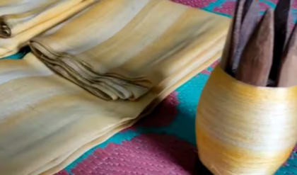 মসলিন-বালুচরীর দিন শেষ! এককালে ‘সিল্ক মক্কা’ মুর্শিদাবাদ রেশম শিল্পের আজ অস্তিত্ব সঙ্কট, মুখ ফেরাচ্ছেন কারিগররা