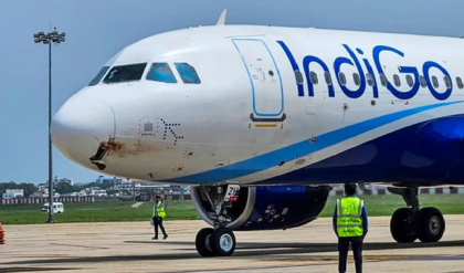 টানা তিন দিন ধরে বিপর্যস্ত ইন্ডিগোর পরিষেবা! DGCA তলব করল আধিকারিকদের, ক্রু রোস্টারিংয়েই চরম সঙ্কট