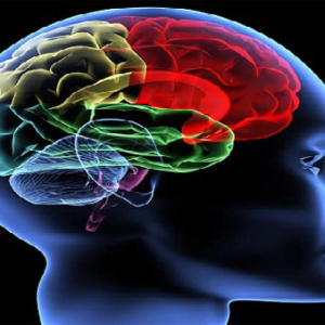 যে ছয় উপায়ে আপনি বাড়াতে পারেন মগজের শক্তি, জানুন দেরি না করে