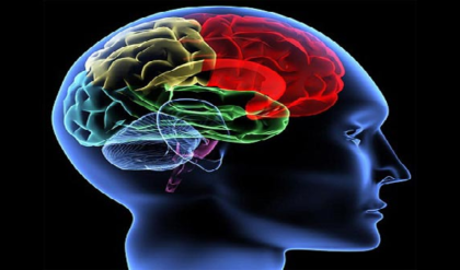 যে ছয় উপায়ে আপনি বাড়াতে পারেন মগজের শক্তি, জানুন দেরি না করে