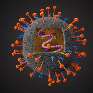 নিপা ভাইরাসের মরণ কামড় থেকে কি বাঁচবে বাংলা? ১৯০ জনকে নিয়ে বড় পদক্ষেপ স্বাস্থ্য দপ্তরের