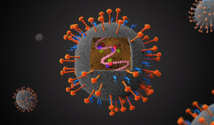 নিপা ভাইরাসের মরণ কামড় থেকে কি বাঁচবে বাংলা? ১৯০ জনকে নিয়ে বড় পদক্ষেপ স্বাস্থ্য দপ্তরের