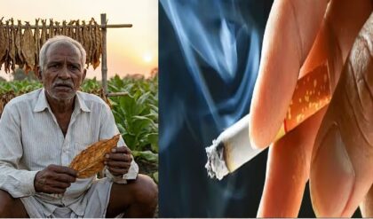 “১৮ টাকার সিগারেট কি এক লাফে ৭২ টাকা?”-অর্থমন্ত্রকের সিদ্ধান্তে মাথায় হাত তামাক চাষিদের!