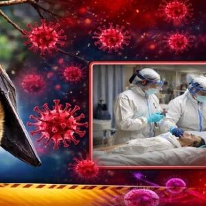 “রাজ্যে নিপা আতঙ্ক!”-১২০ জন কোয়ারেন্টাইনে, করোনার চেয়েও কি খতরনাক এই ভাইরাস? কী বলছেন বিশেষজ্ঞরা?