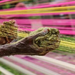 সাবধান! আকাশে ঘুড়ি আর রাস্তায় মৃত্যুফাঁস; সুরাটে ৮ বছরের শিশুর প্রাণ কাড়ল ঘাতক সুতো