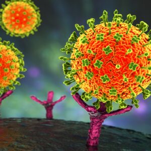 বাংলায় নিপা আতঙ্ক! দুই নার্সের শারীরিক অবস্থা নিয়ে এল বড় আপডেট, স্বাস্থ্য দপ্তরের নতুন গাইডলাইনে কী আছে?