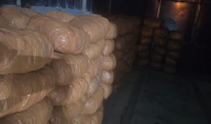 খিদিরপুরে পুলিশের মেগা অপারেশন! ওড়িশা থেকে আসা গাড়ির গোপন চেম্বারে মিলল ১২৫ কেজি গাঁজা