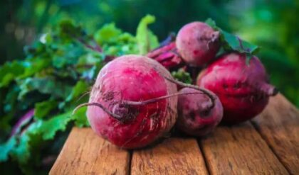 বিটরুট কাঁচা খাবেন নাকি রান্না? জেনেনিন কোনটা বেশি উপকারী