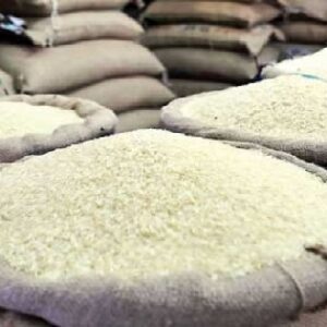 “ভারতের চাল, বিশ্বের থালা”— বিধিনিষেধ উঠতেই হু হু করে বাড়ল রফতানি, ভাঙতে পারে অতীতের সব রেকর্ড!