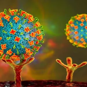 আবার ফিরছে ভয়ংকর নিপা! পূর্ব বর্ধমান ও বারাসাতে সংক্রমণের আতঙ্ক, জরুরি সতর্কতা জারি রাজ্যে