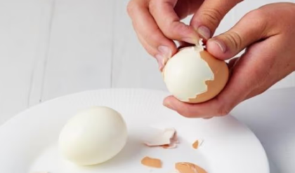 যেভাবে ডিম খেলে পেটের চর্বি দ্রুত কমবে? শিখেনিন পদ্ধতি