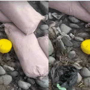 নববর্ষের সকালে সীমান্তে পাক ড্রোন হানা! পুঞ্চে ফেলা হলো আইইডি ও মাদক, হাই অ্যালার্ট জারি