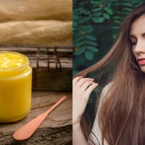 গরুর ঘি আপনার চুল বৃদ্ধিতে কতটা কাজ করে জানতে চান? তাহলে পড়ুন