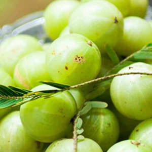 খালি পেটে আমলকি খেয়ে শরীরের যে উপকার হবে? জানলে অবাক হবেন